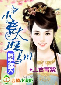 医手遮天:小妾太难驯