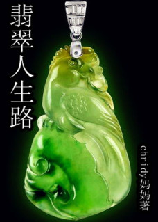 重生之翡翠人生路