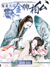 宠妻无度--金牌相公