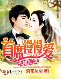先婚后宠,首席慢慢爱