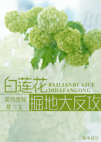 白莲花掘地大反攻