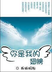 你是我的翅膀