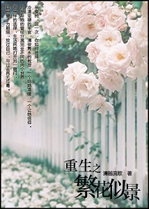 重生之繁花似景(伪军旅)