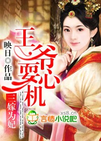 三嫁为妃,王爷耍心机