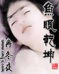 鱼眼乾坤