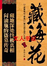 藏海花Ⅰ雪山阎王骑尸之谜