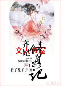 (清)齐妃修真记