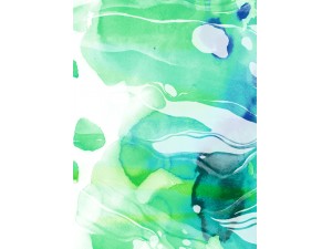 悠然把莲采
