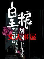 皇粮胡同十九