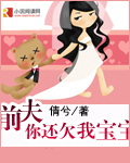 前夫,你还欠我宝宝