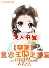 穿越:整容王妃是首富