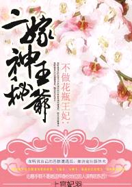 不做花瓶王妃:二嫁神秘王爷