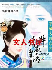 穿越大清后宫:孝淑睿皇后