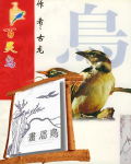 画眉鸟