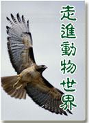 走近动物世界