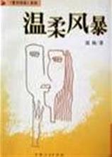 温柔风暴
