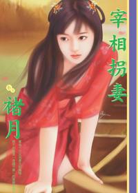 宰相拐妻